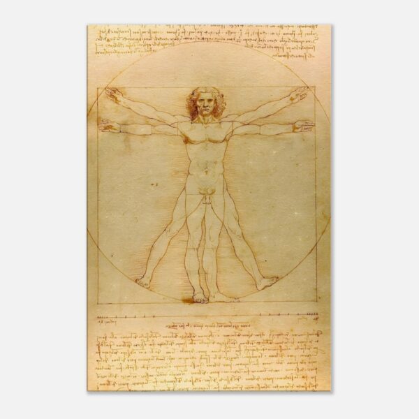 Vitruvianischer Mensch – Leonardo da Vinci x artellix